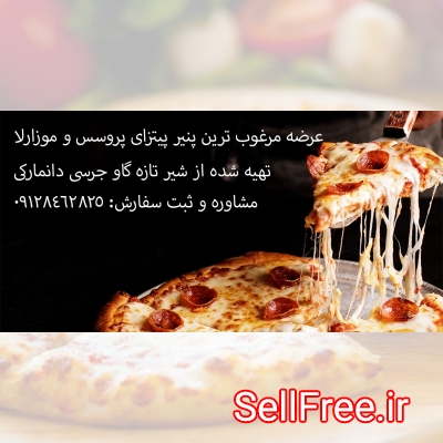 عرضه عمده پنیر پیتزا